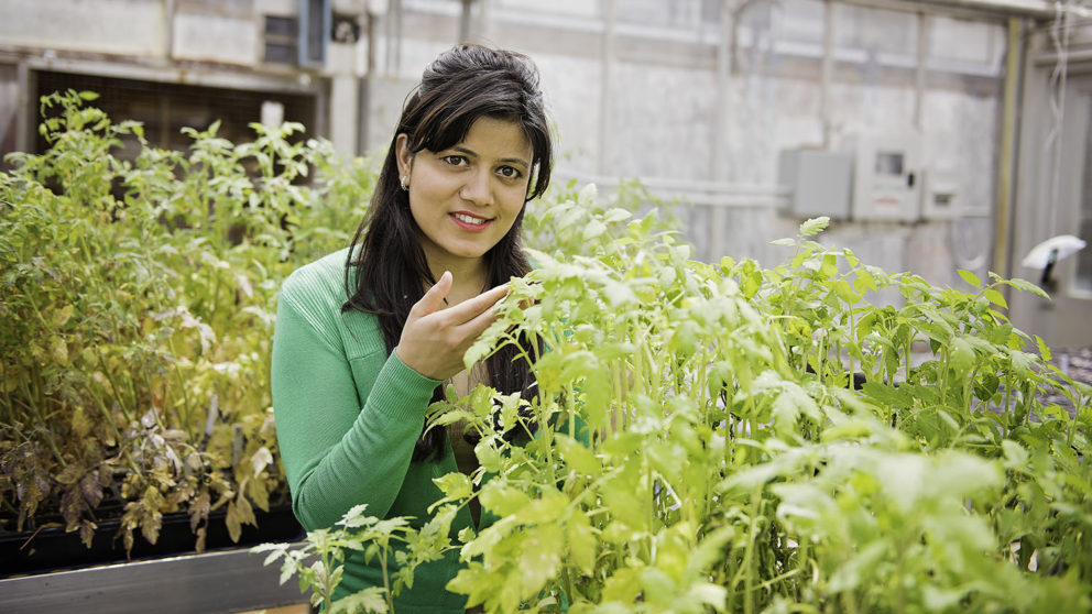 Horticultural Science graduate, Pragya Adhikari, in the greenhouse