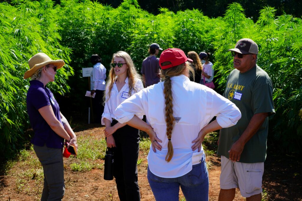 People talking in a field of fiber hemp at a field day