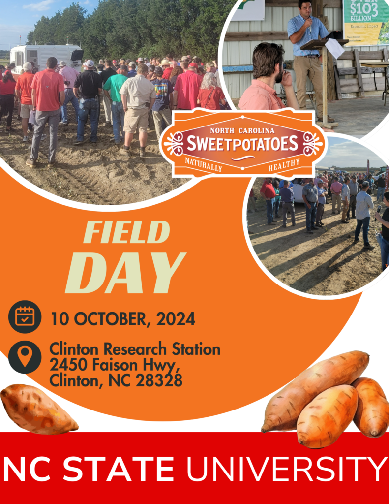 NC Sweet Potato Field Day